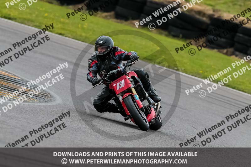 PJ Motorsport 2019;anglesey no limits trackday;anglesey photographs;anglesey trackday photographs;enduro digital images;event digital images;eventdigitalimages;no limits trackdays;peter wileman photography;racing digital images;trac mon;trackday digital images;trackday photos;ty croes